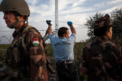 Fermeture frontière en Hongrie Röszke, Hongrie, 14 septembre 2015. L'armée hongroise et la police installent les barbelés et le grillage qui forment le mur anti-migrant haut de 3m.